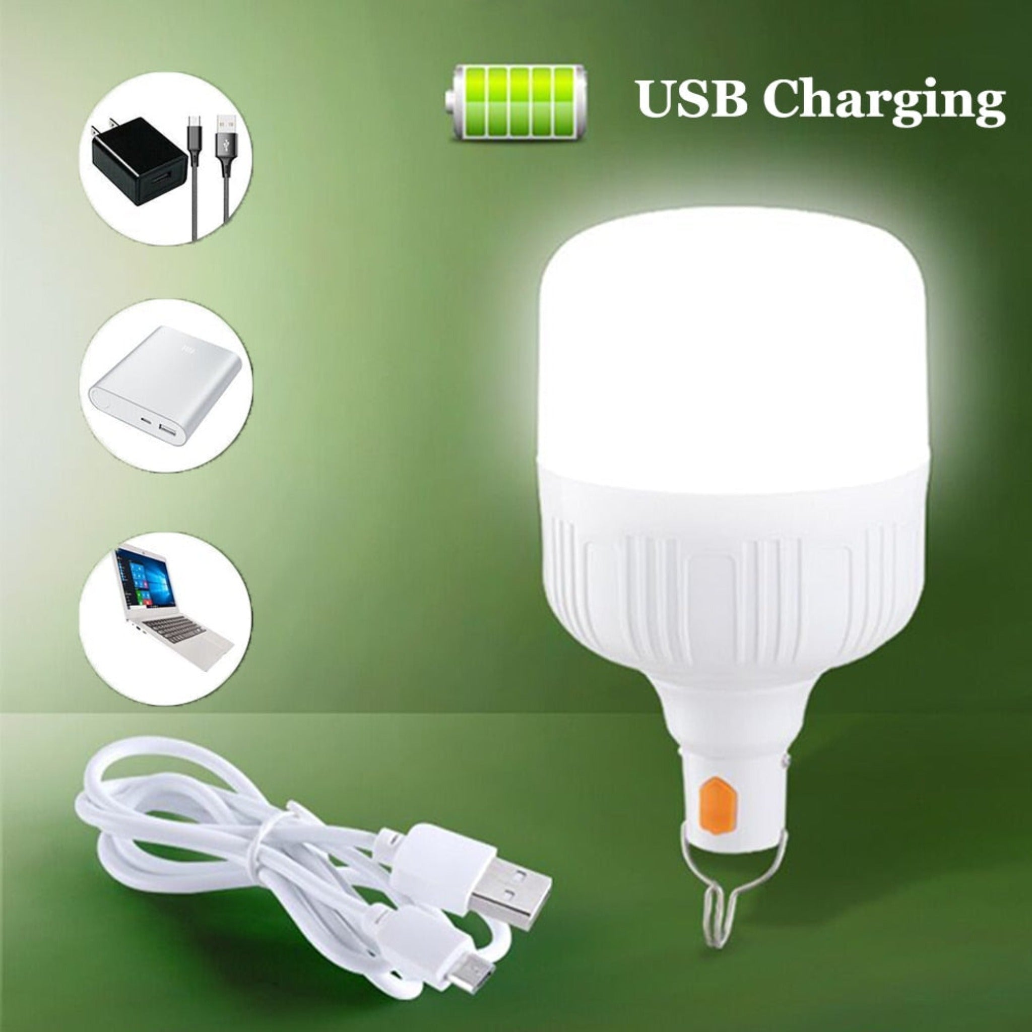 usb charging lightbulb with green background and three pictures in circles with a charger, portable charger, and laptop